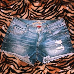 ✰ARIZONA JEAN SHORTS ✰